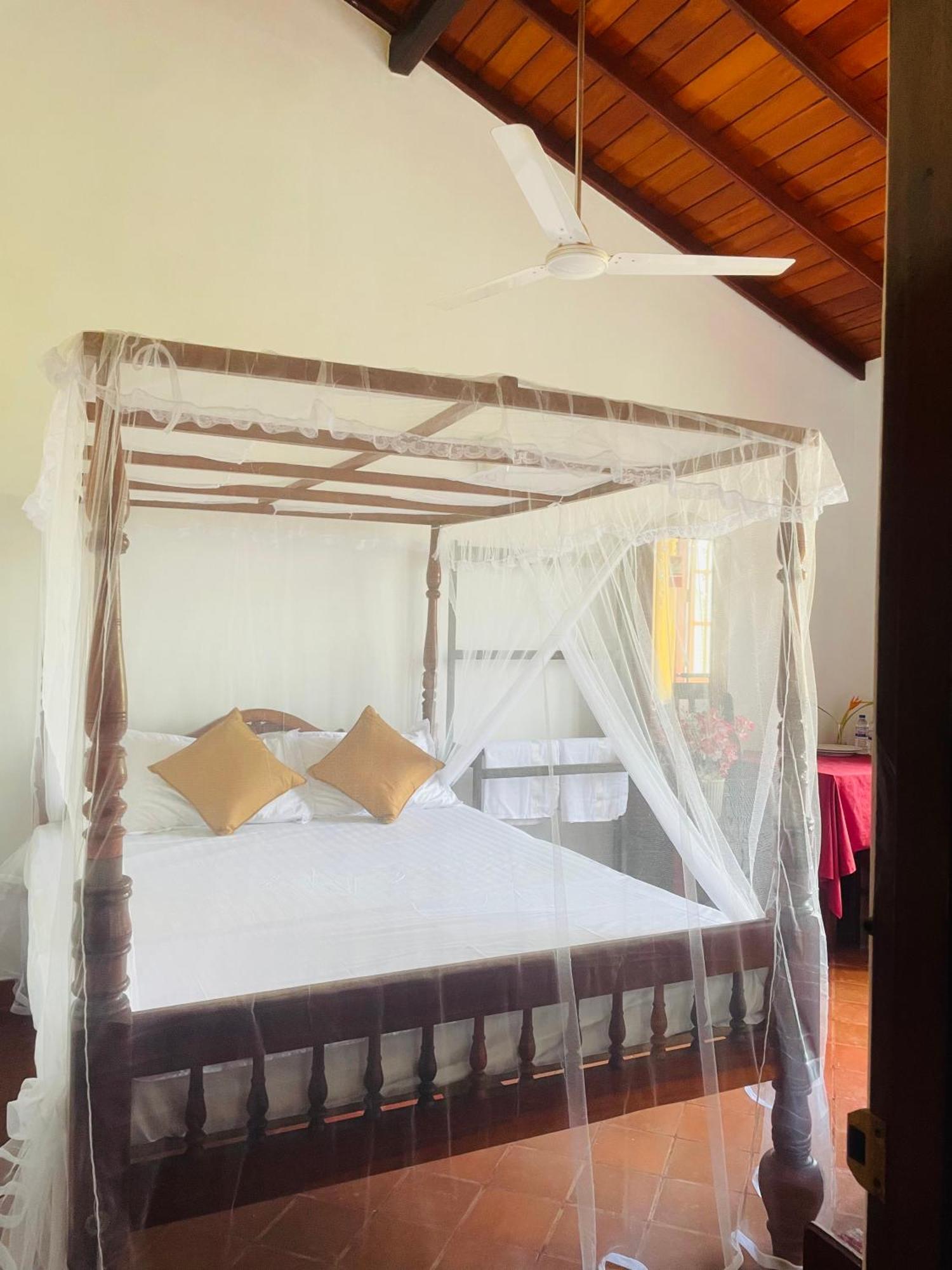 Island House Otel Dikwella Dış mekan fotoğraf